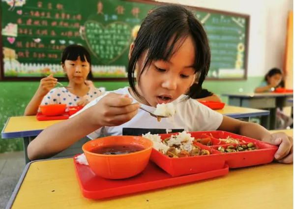 有关学生营养餐缴费流程的梳理